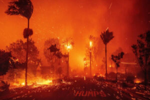 Fire in Los Angelse